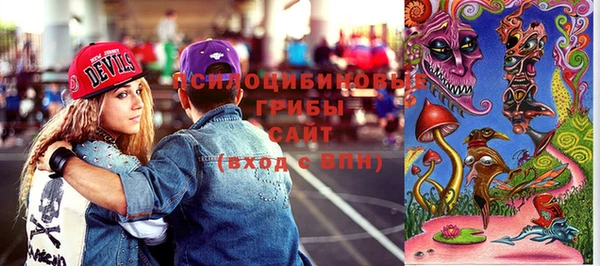 шишки Белоозёрский