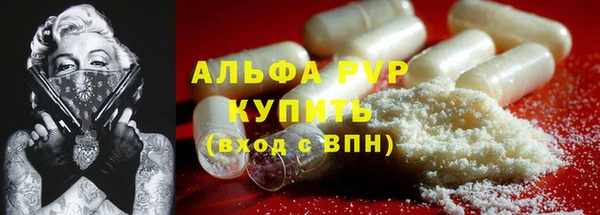 шишки Белоозёрский