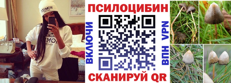 площадка как зайти Жигулёвск Псилоцибиновые грибы Psilocybine cubensis наркота blacksprut ТОР